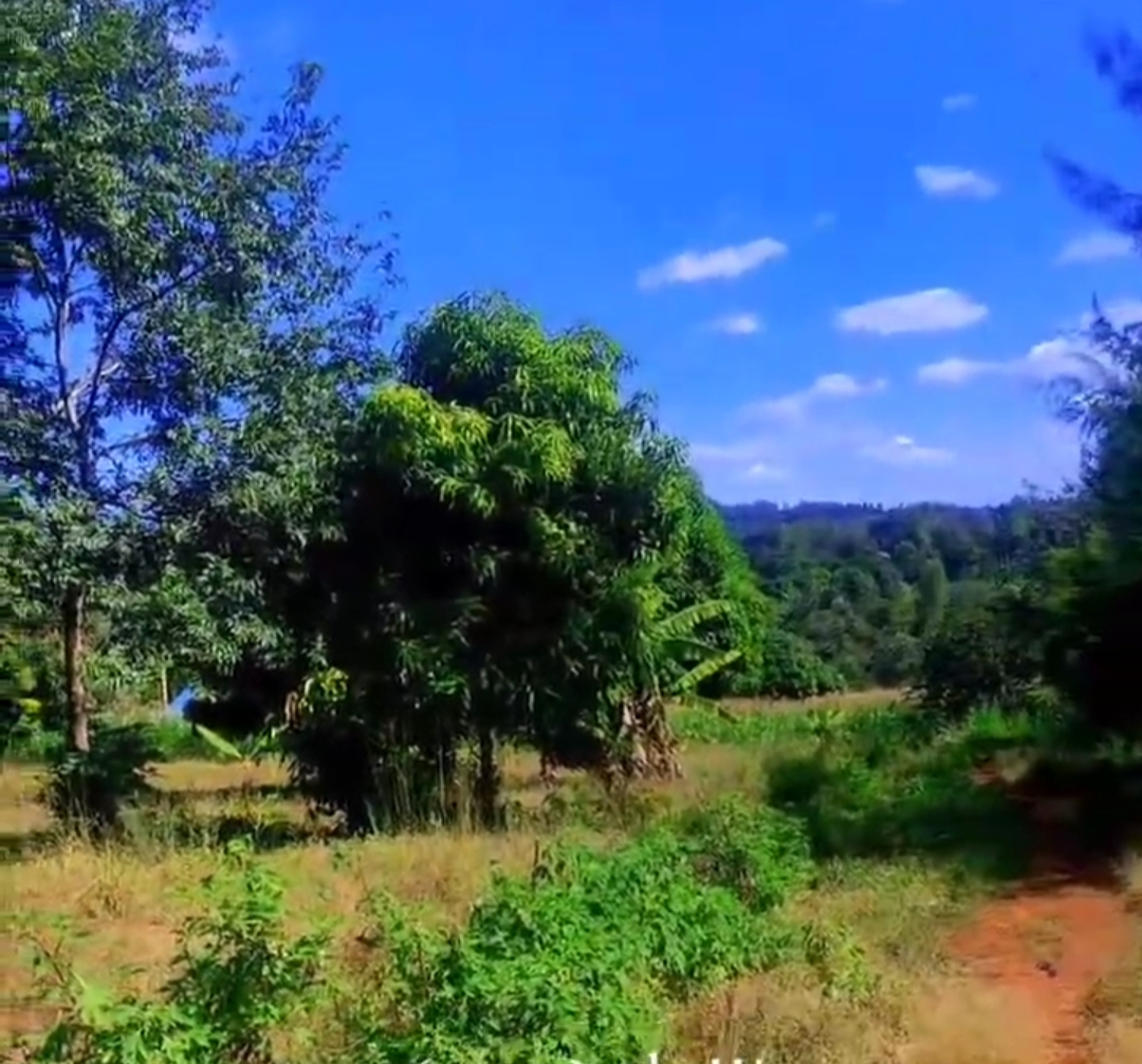 Affordable Agricultural Land for Sale in Kenya – Machakos, Kiambu & Laikipia