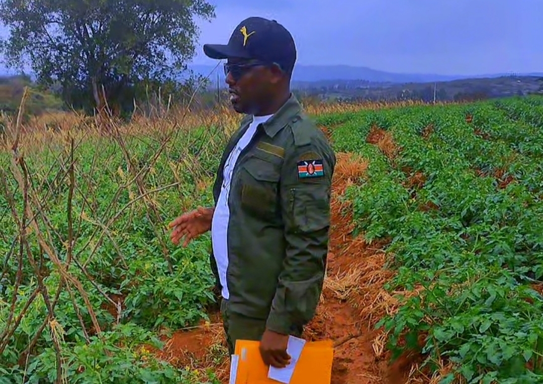 Makuyu Muli Farm Two Acre Land