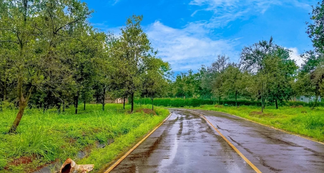 Agricultural land for sale in Kenya.