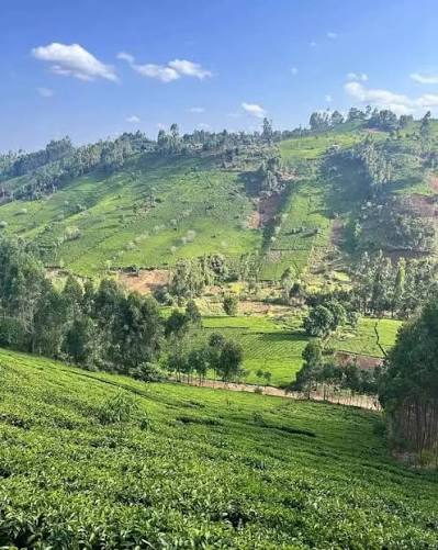 Murang'a