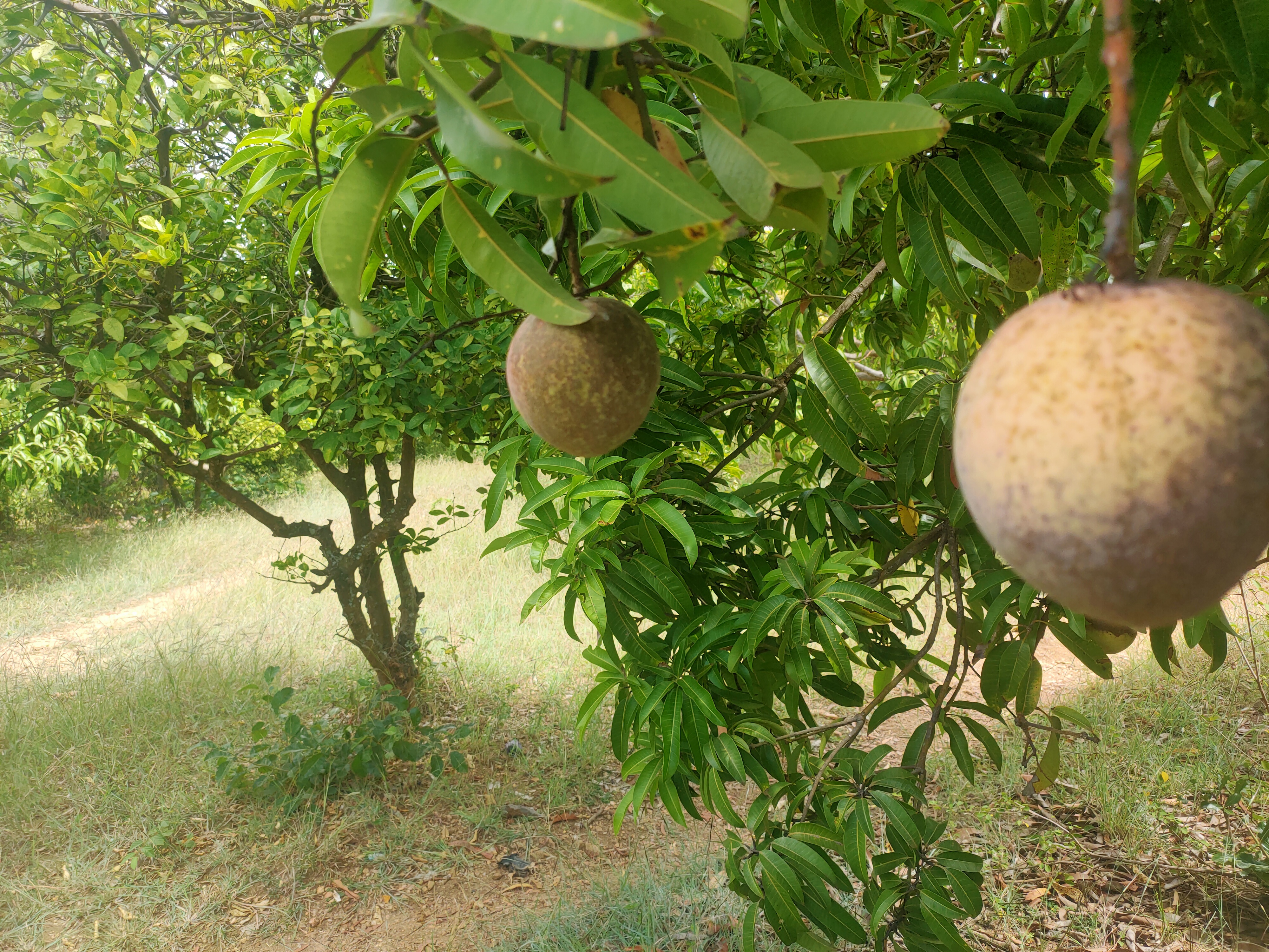 Muranga-Maranjau one acre for sale