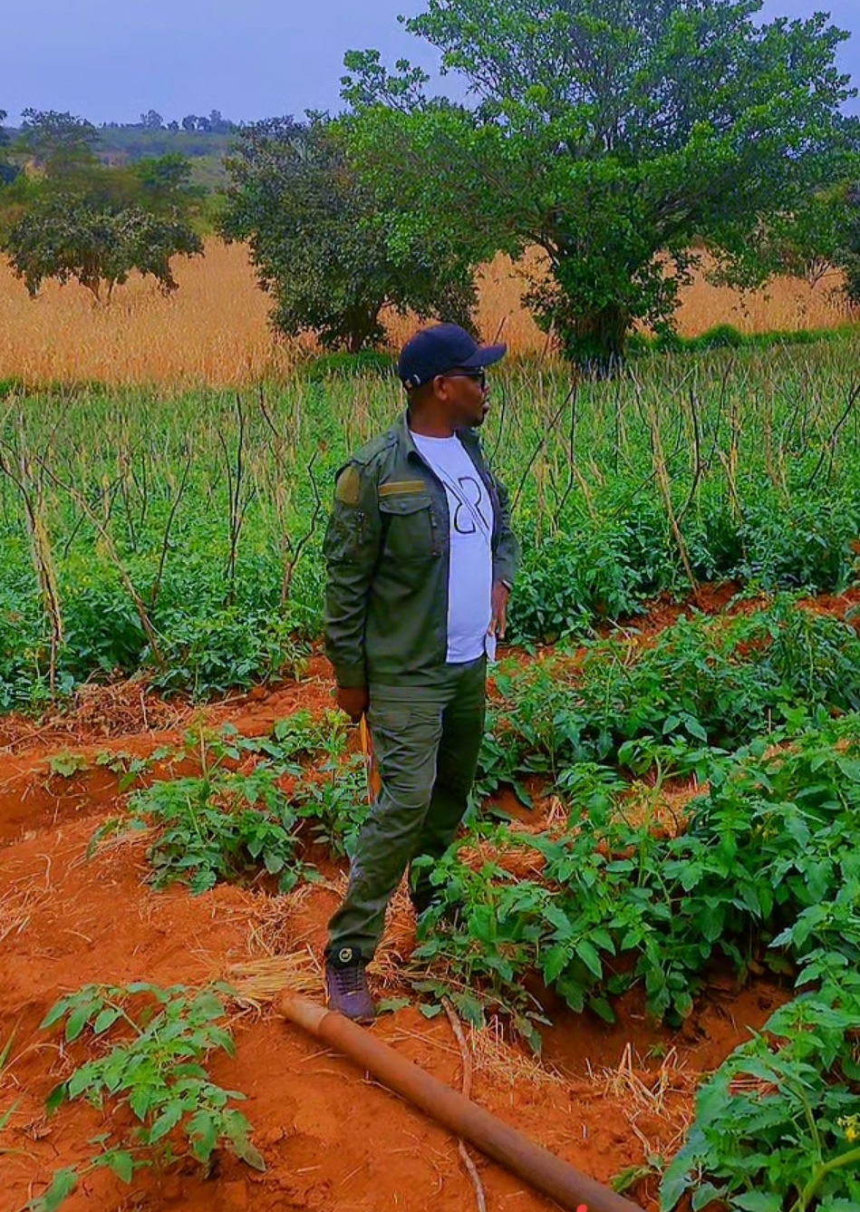 Genuine Prime Agricultural Land For Sale Sagana.