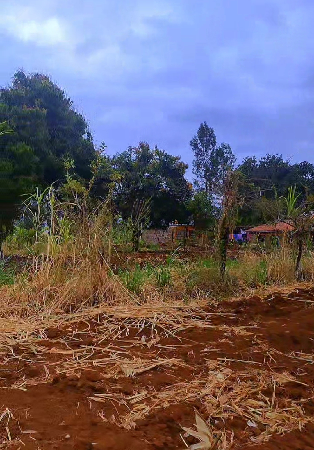 Makuyu Muli Farm One Acre Land